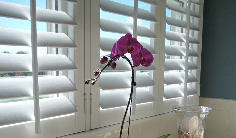 Faux wood plantation shutters in Fort Myers